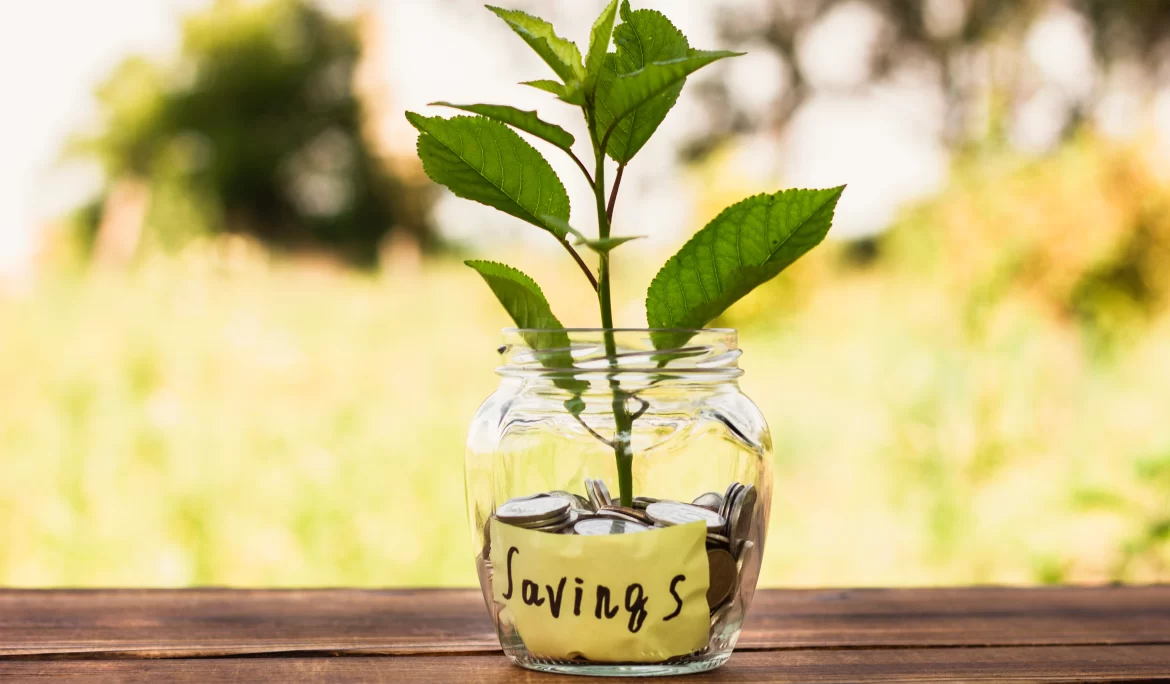 From Sunlight to Savings